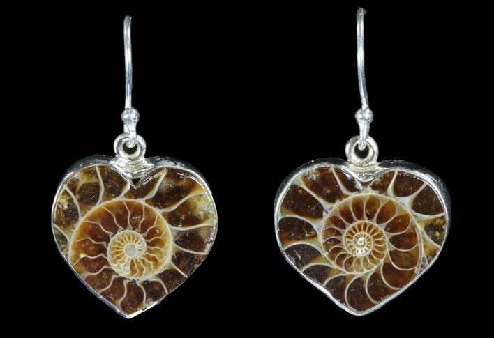 Fossil Heart Shaped Ammonite Earrings - Sterling Silver #81630